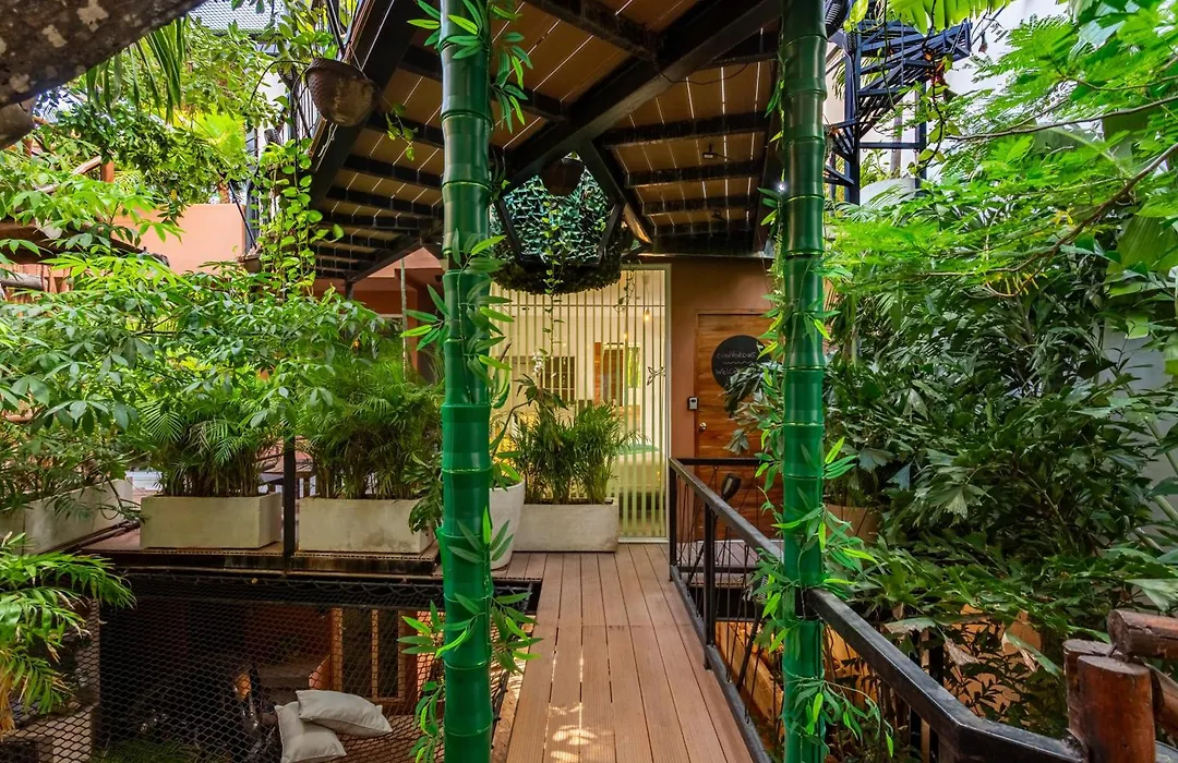 Casa Kabil Wellness Home-1